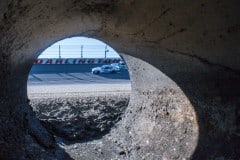 IMG_5598